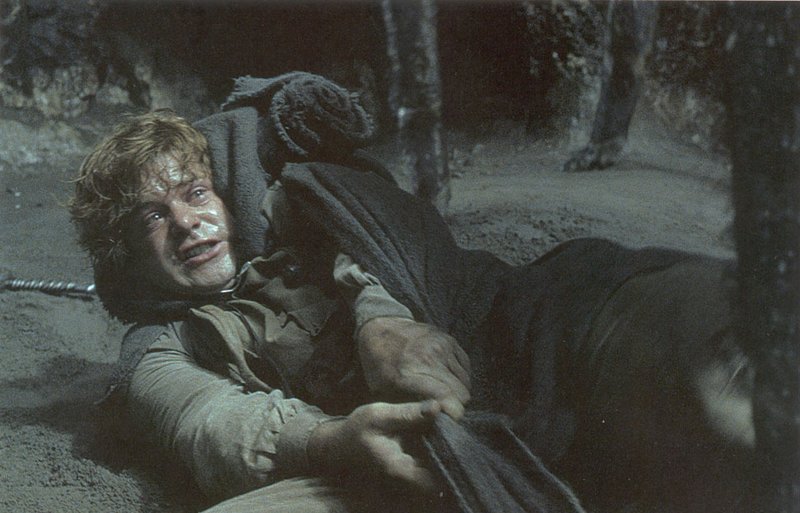 Trying to help Frodo...*sniff*
